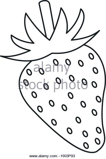 360x540 Vector Outline Strawberry Fruit Food Stock Photos Amp Vector Outline