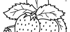 272x125 Coloring Book Fruits And Vegetables Cabbage Vector Art. Pin Fruits