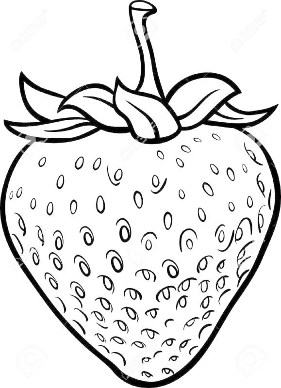 Strawberry Outline Drawing at GetDrawings | Free download