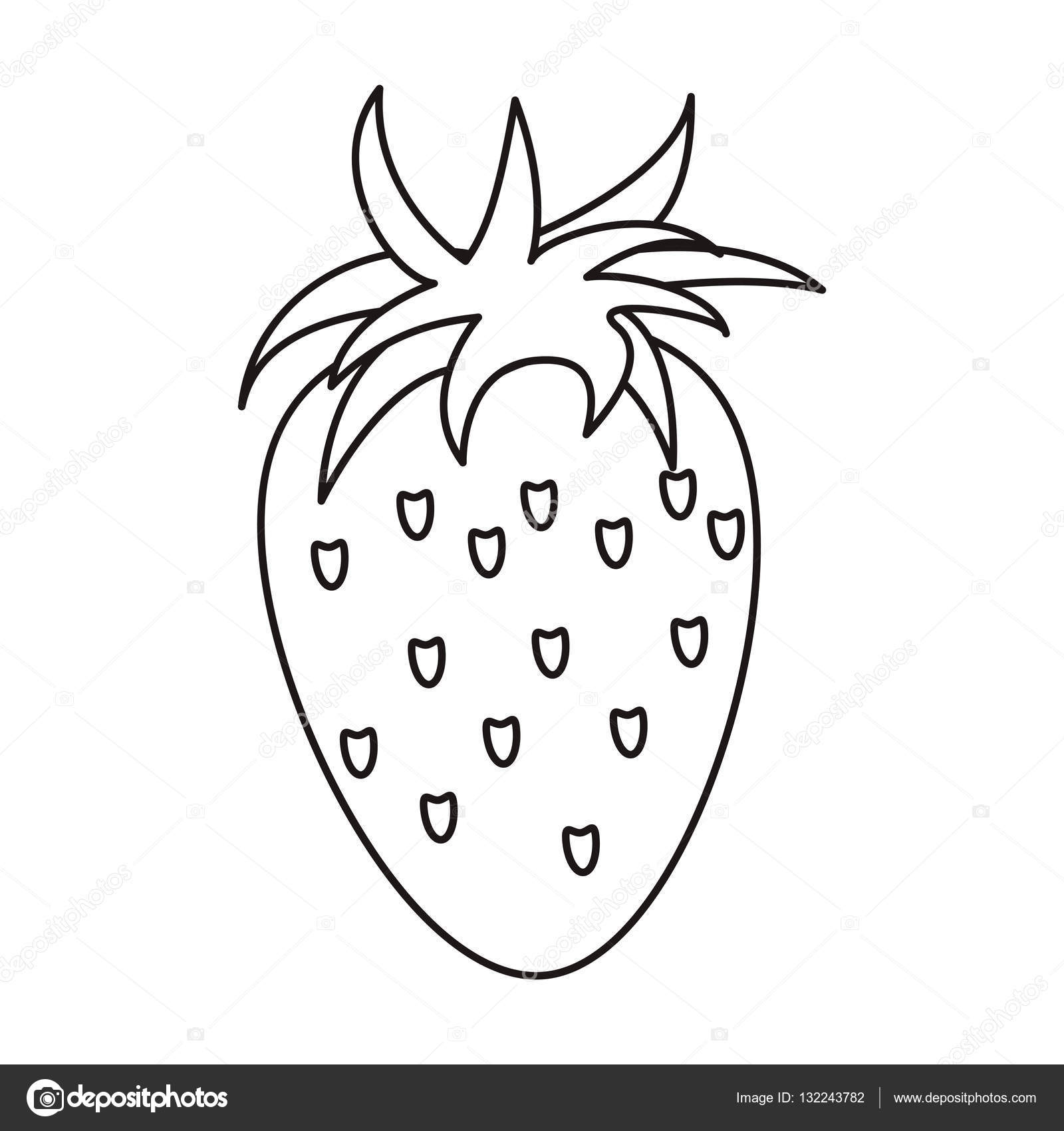 1600x1700 Strawberry Healthy Fruit Nature Outline Stock Vector Jemastock
