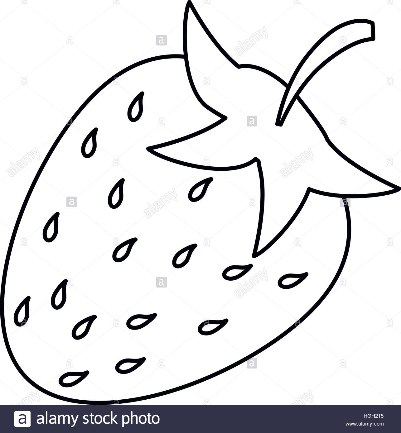 1286x1390 Strawberry Sweet Vitamin Nature Outline Stock Vector Art