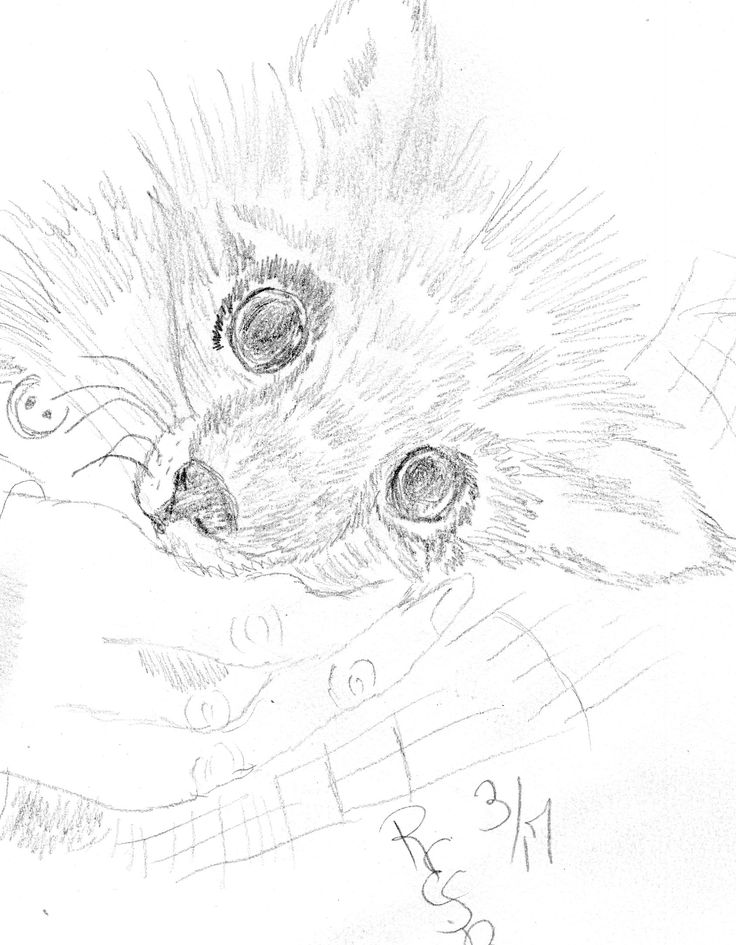 736x945 161 Best My Original Art Work