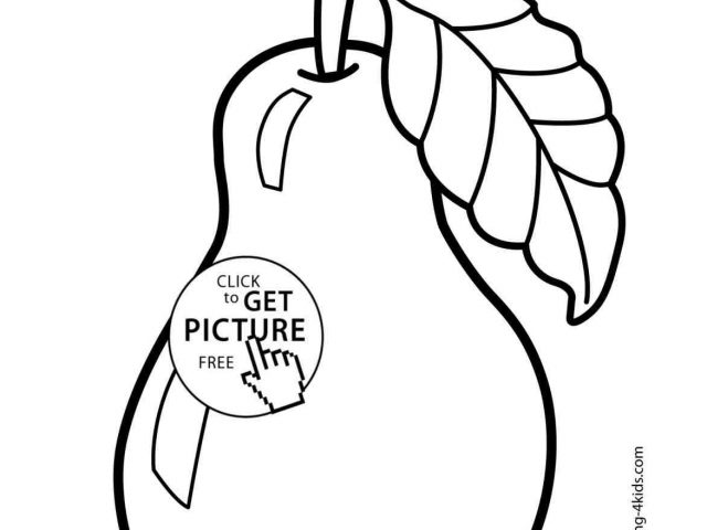 640x480 The Images Collection Of Vegetable Pencil In Color Drawn Drawing