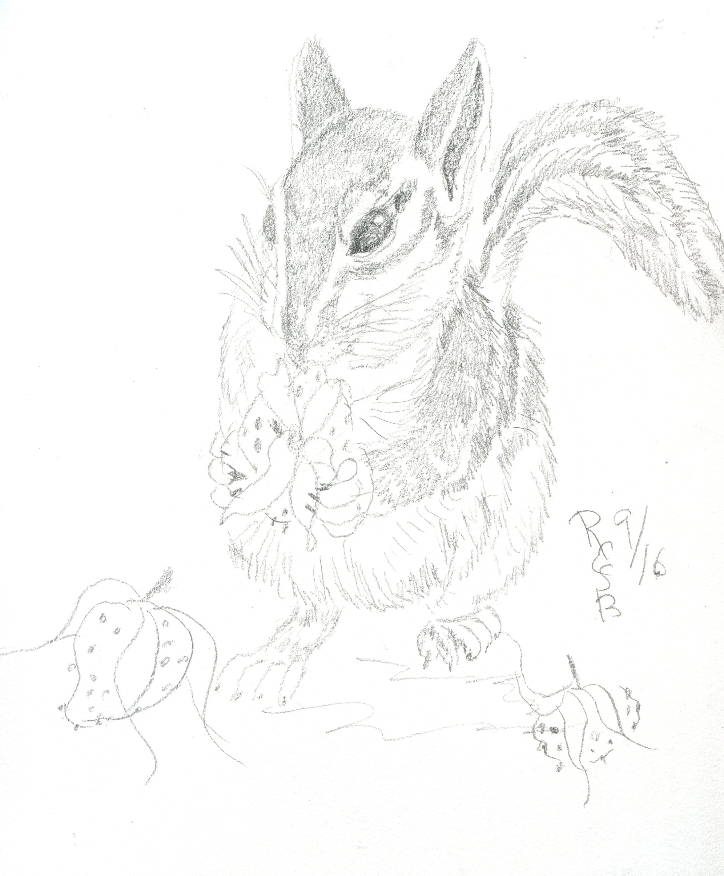 2352x2848 Chipmonk Eating Strawberries My Original Art Work