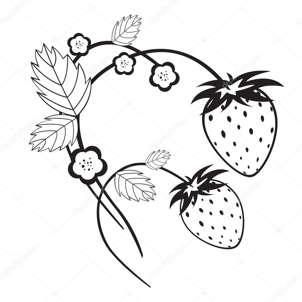 Strawberry Plant Drawing at GetDrawings | Free download