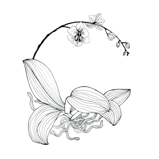 550x550 Odds And Ends Halfway Through January