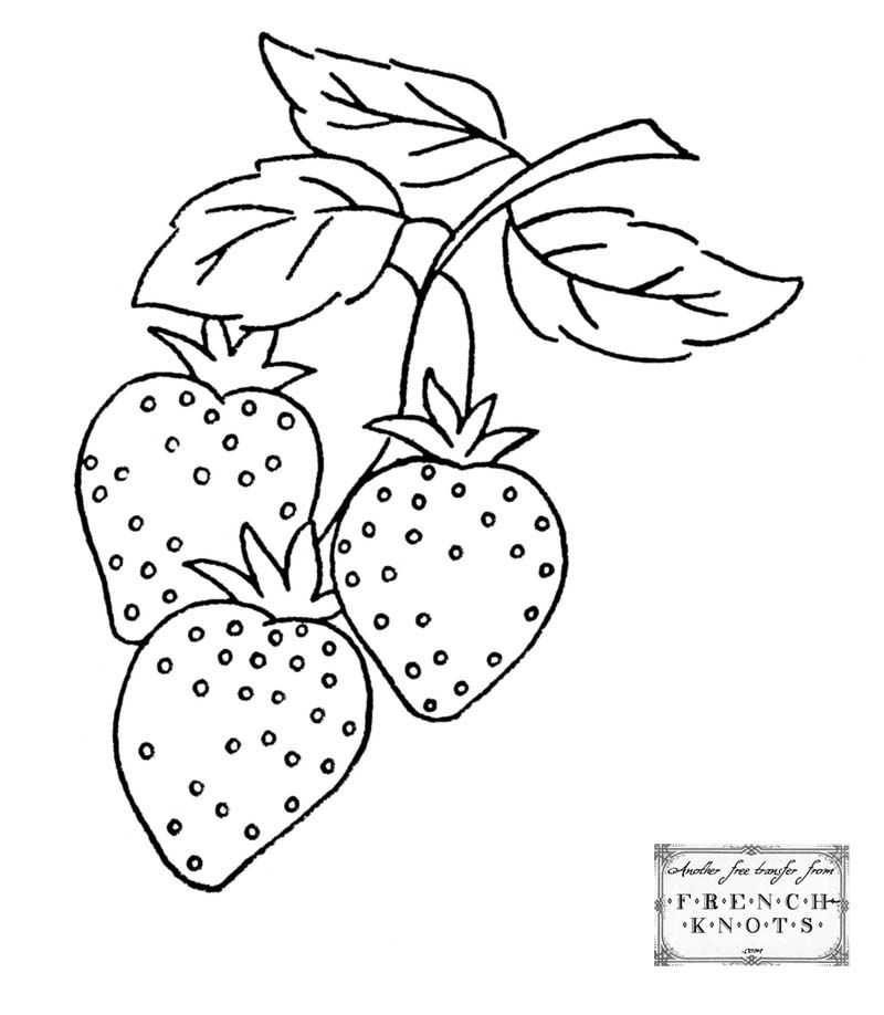 800x918 Grapes, Vines, Wheat And Strawberries Embroidery Transfer Patterns