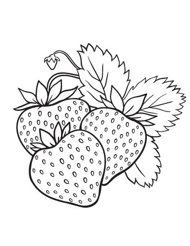 392x507 Printable Strawberry Coloring Page. Free Pdf Download