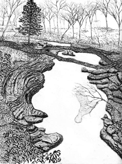 478x640 James Parker Artwork Nc Small Gorge Original Drawing Pen