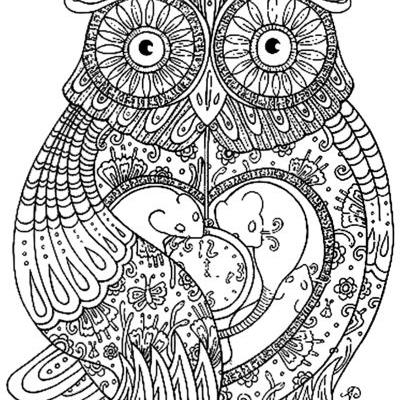 400x400 Colour Me Stress Free The Daily Star