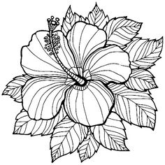 236x236 Enchanted Faces Mermaids, Fairies, Amp Fantasy Pocket Sized