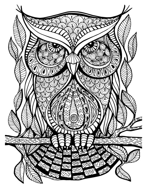 500x647 Owl Coloring Book Tumblr