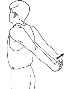 240x300 Postural Exercises For Desk Workers Performance Bodywork