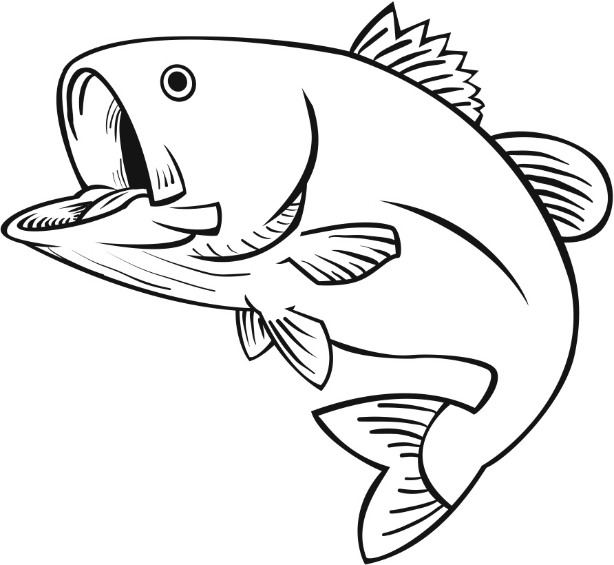 892x820 Stretch Drawn Fish Clipart