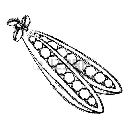 450x450 272 String Bean Stock Illustrations, Cliparts And Royalty Free