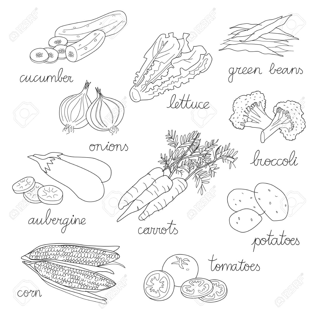 1300x1300 Set Of Isolated Hand Drawn Illustrations Of Vegetables, In Black