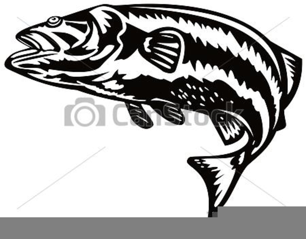 600x469 Free Striped Bass Clipart Free Images