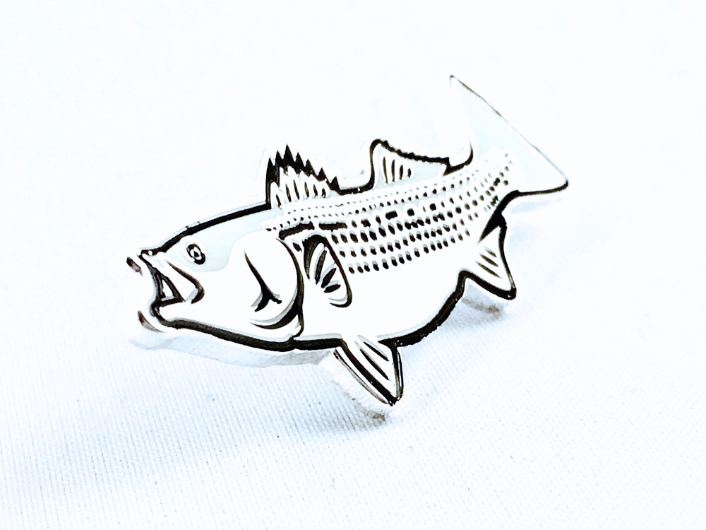 1000x750 Striped Bass Pin Fin And Pin