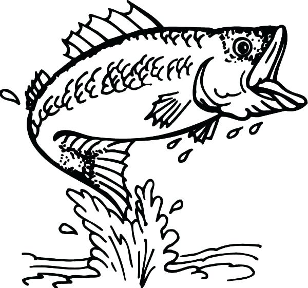 600x561 Bass Coloring Pages Tropical Fish Coloring Pages Free Clown Fish