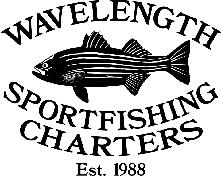 720x574 Welcome To Wavelength Fishing And Charters 508 746 6749