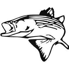236x236 Bass Fish Outline Clip Art Free Clipart Images Rock Art