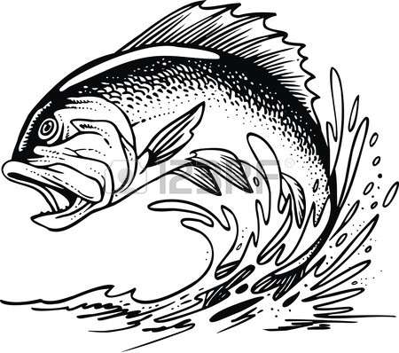 450x398 Blackback Fish Isolated On The White Background Royalty Free