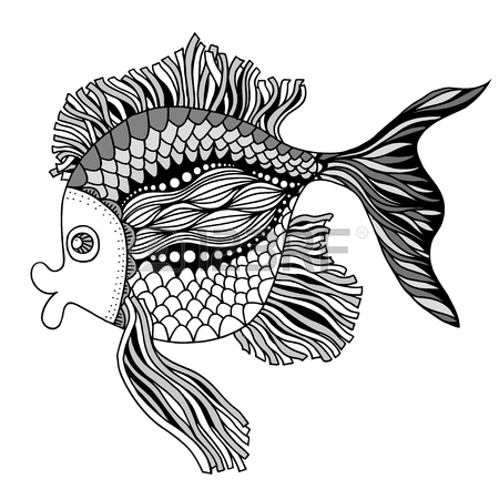 450x450 Fish Drawing Stock Photos. Royalty Free Business Images