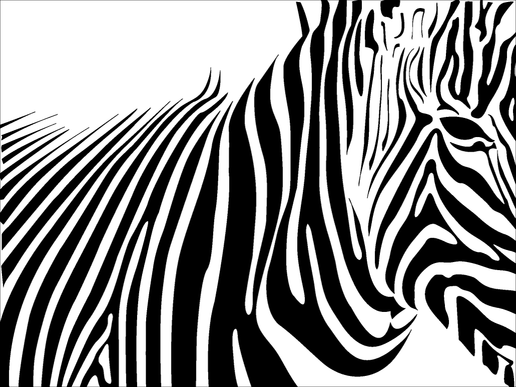 1024x768 Desktop Hd Zebra Stripes Wallpaper