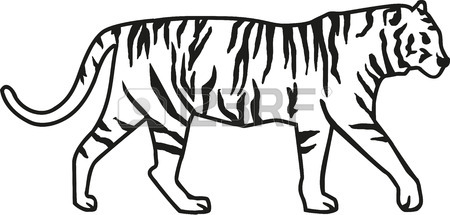 450x215 Tiger With Stripes Royalty Free Cliparts, Vectors, And Stock