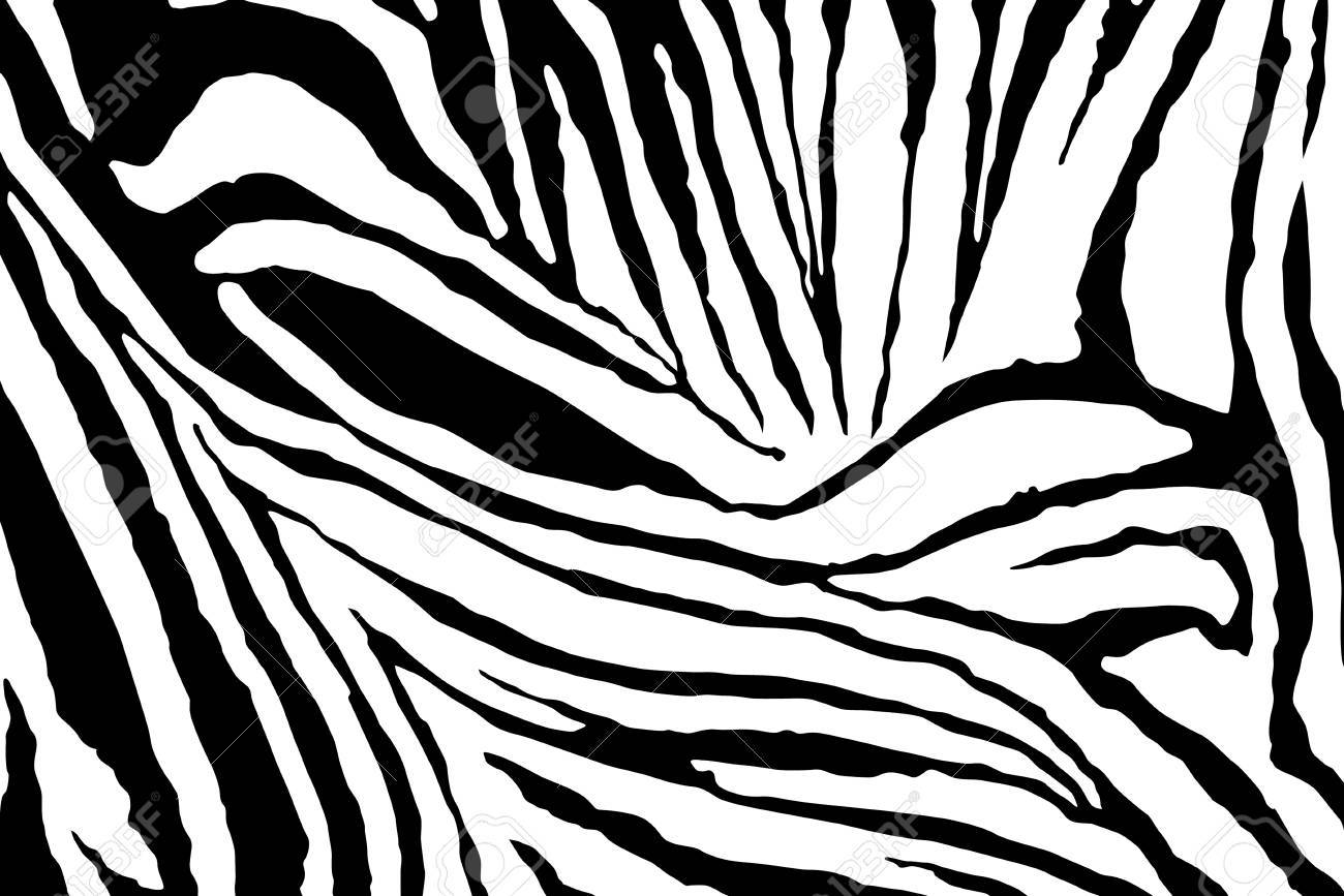 1300x867 Zebra Stripes Pattern Vector Royalty Free Cliparts, Vectors,