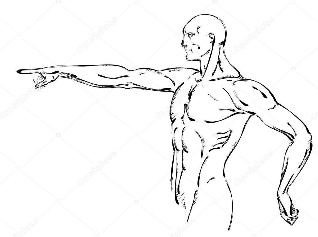 1024x764 Sketch Of Strong Man. Stock Vector Ice Storm