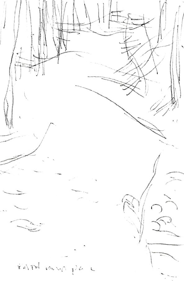 593x906 Drawings (Little, 4x6 To 6x8) The Drawing Studio