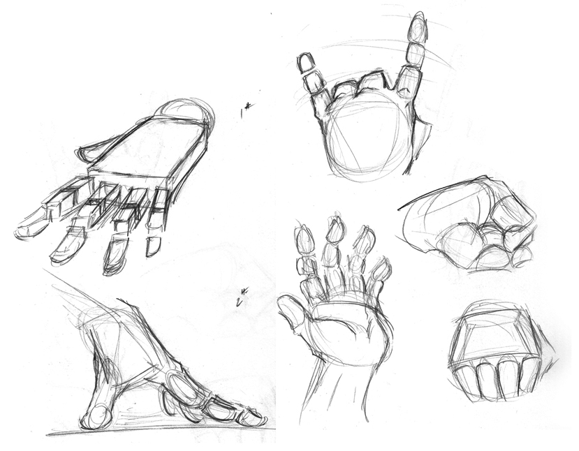 829x646 Hand Study By Twilightsdon