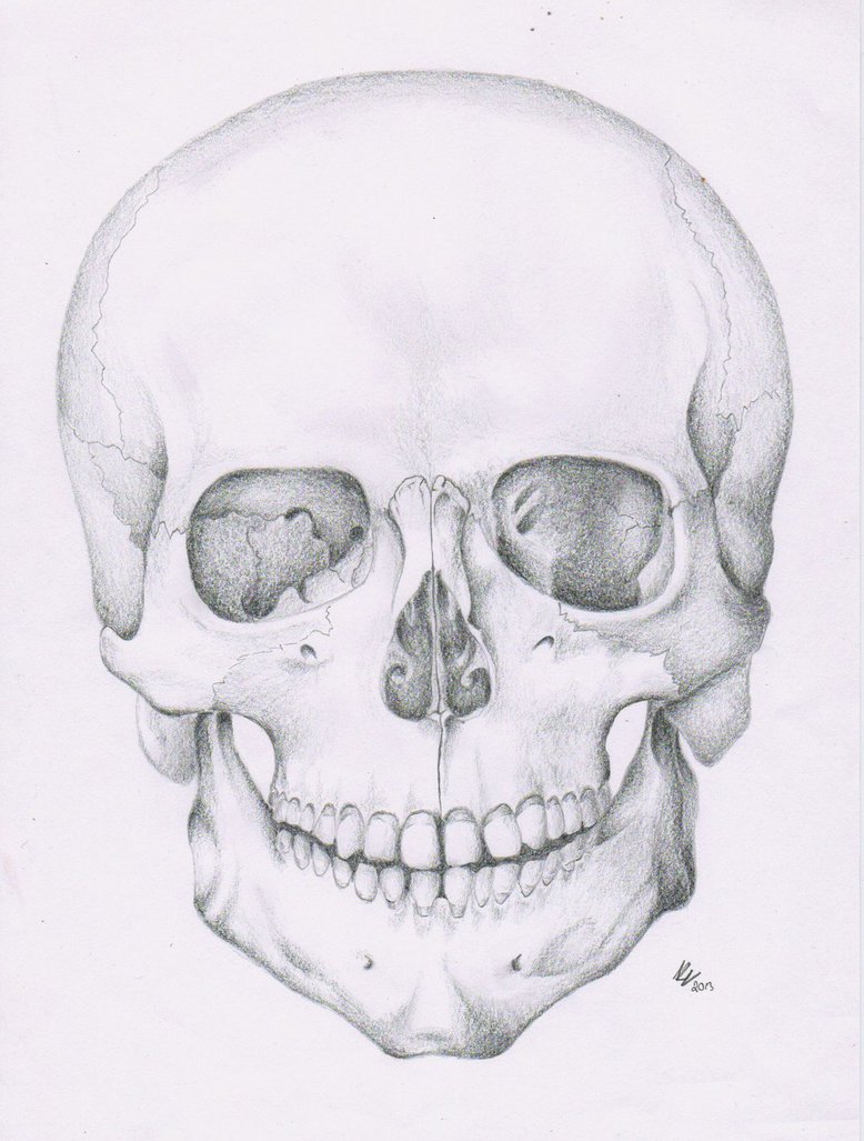 778x1027 Second Skull Study