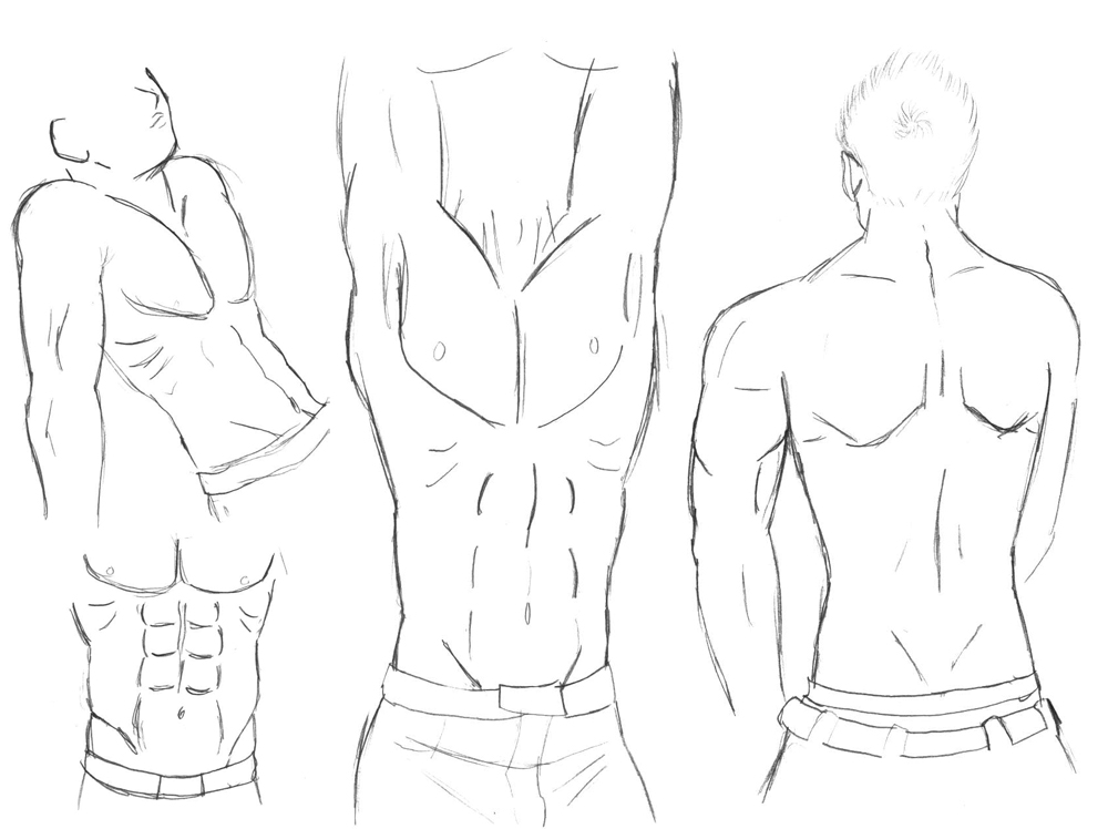 1000x748 Sketch Male Body Study By Hikarurauchio