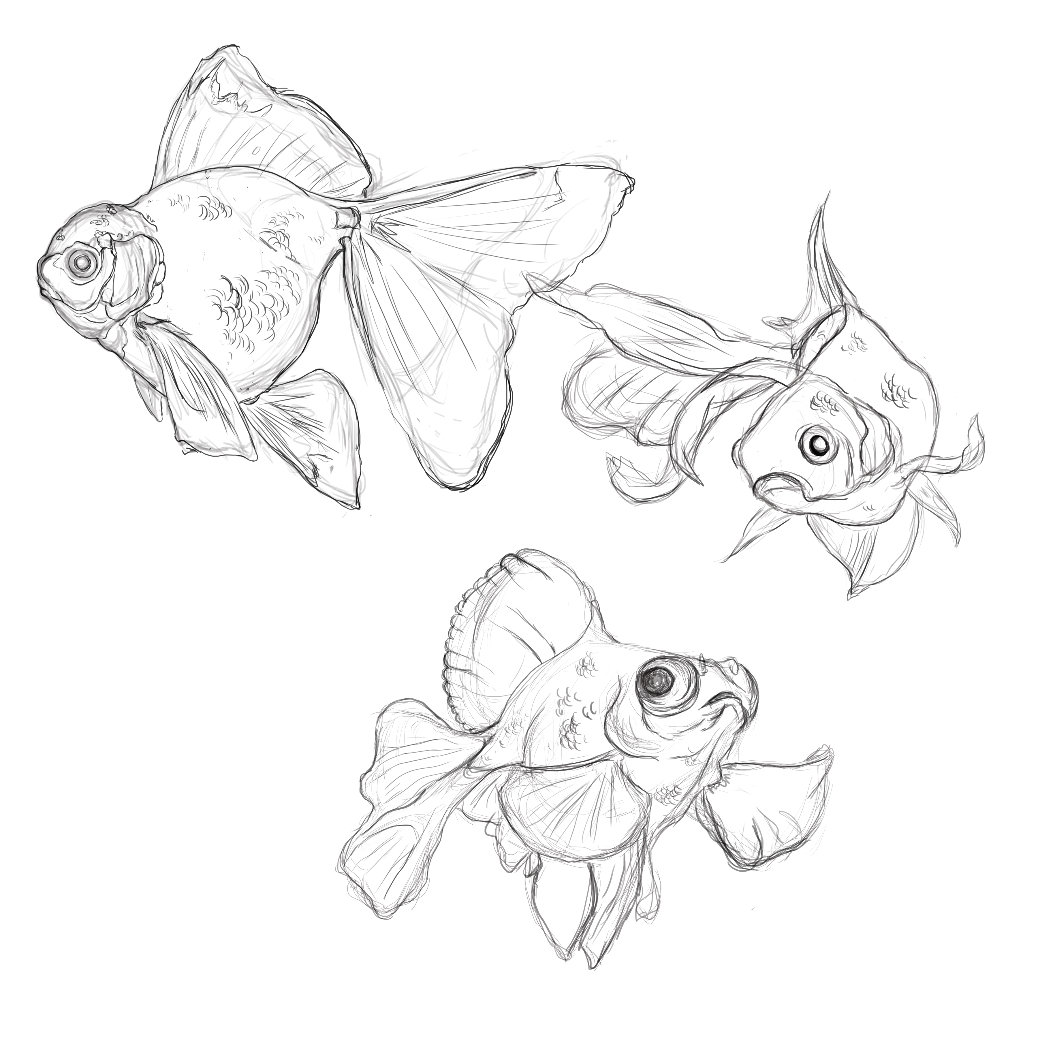 3600x3600 Study Tragicjurassic