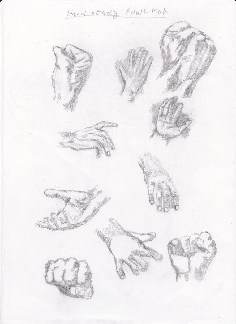 763x1048 Adult Male Hand Study By Pixiedust1317