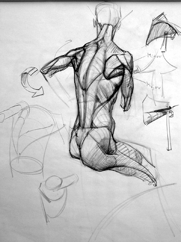 720x960 Anatomy Studies Demo Figure Studies