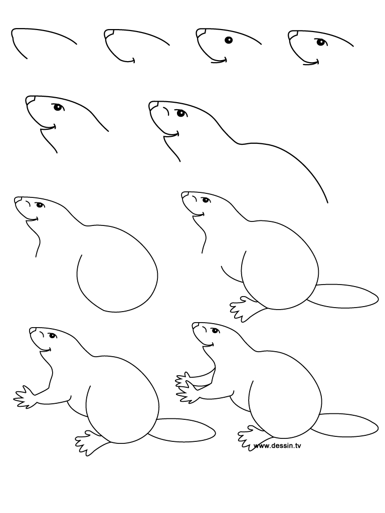 768x1024 Drawing Beaver Drawing Drawings, Drawing Stuff