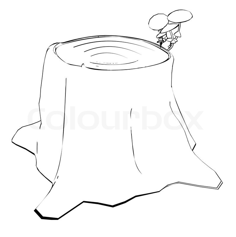 797x800 Tree Stump Stock Vector Colourbox