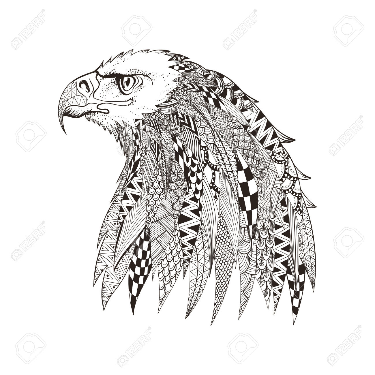 1300x1300 Drawn Hawk Stylized