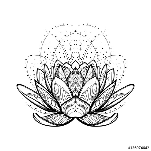500x500 Lotus Flower. Intricate Stylized Linear Drawing Isolated On White