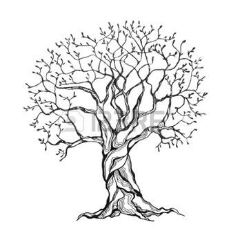 335x350 Tree Life Winter Tree In A Stylized Style. Black And White Colors