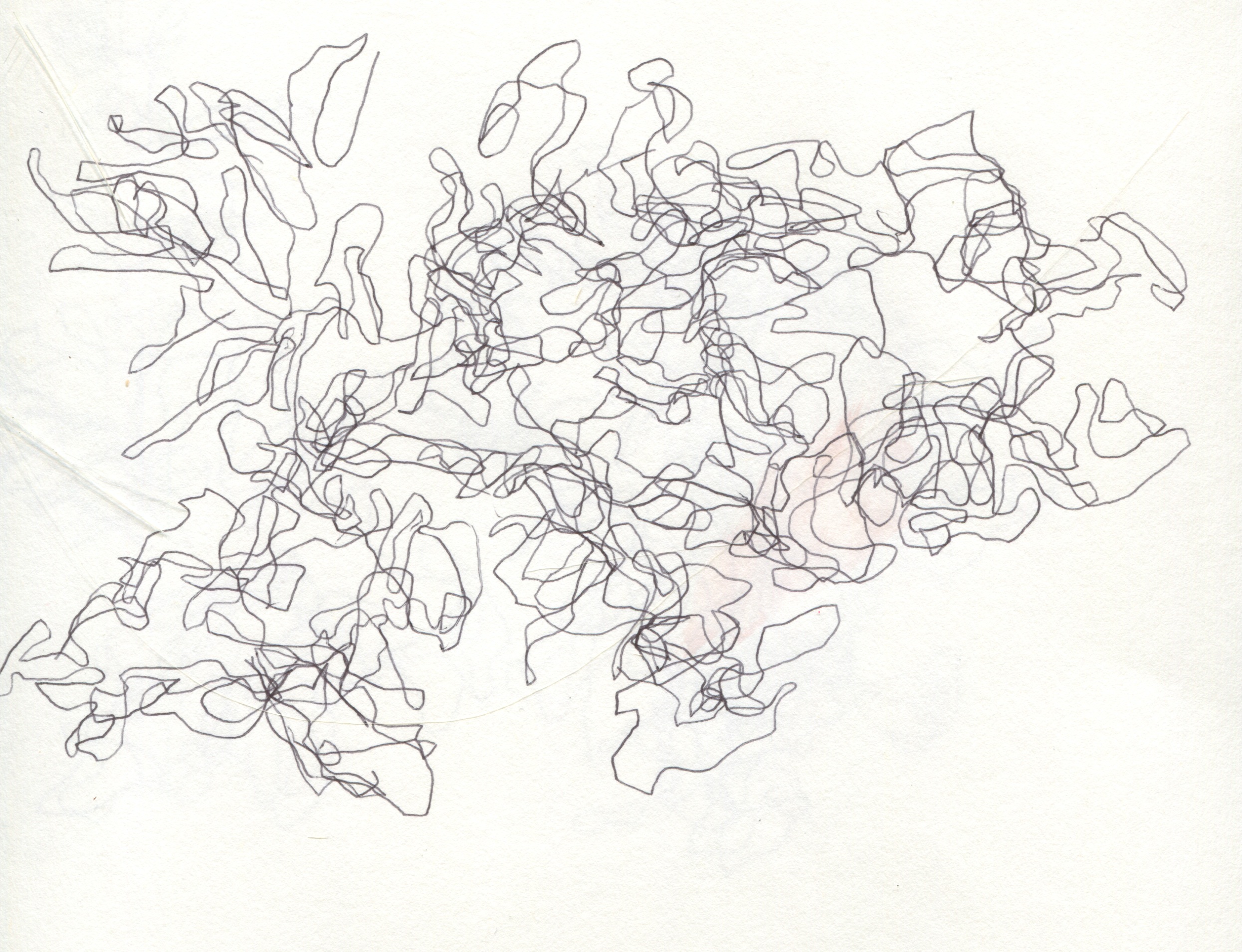 2490x1910 Week 6 Evangeline Foster