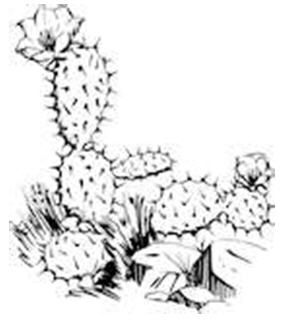 285x323 The World's Catalog Of Ideas