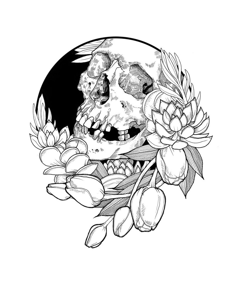 809x987 Succulent By Katmannel