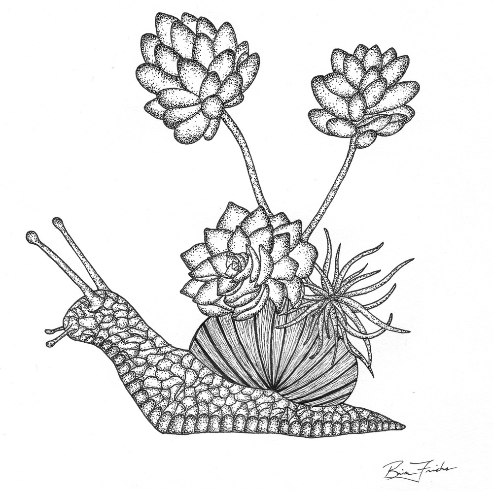 1000x997 Drawings Brian Frerichs Art