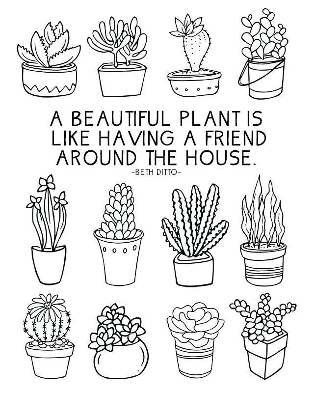 640x800 Plant Coloring Pages Download Succulent Coloring Sheet Plant Parts