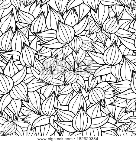 450x470 Vector Black Drawing Succulent Vector Amp Photo Bigstock