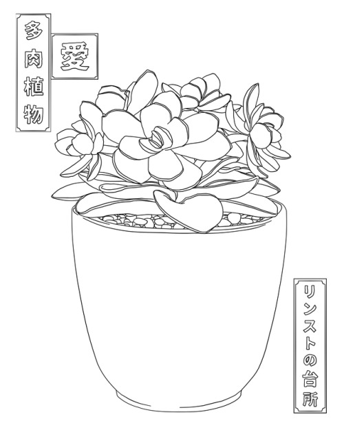 500x625 Illustrated Plants And Succulents Tumblr